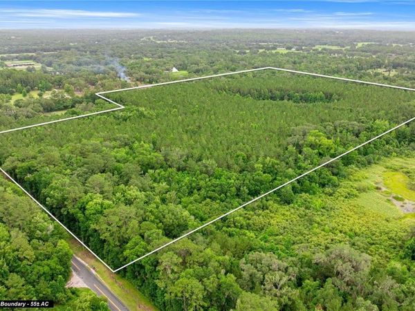 TBD NW 160TH ST , REDDICK, FL 32686