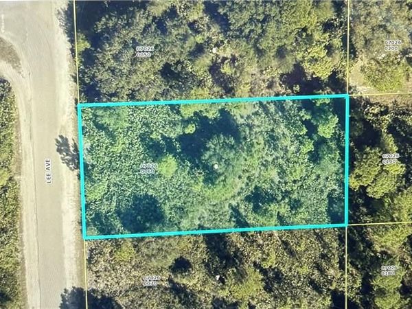 Lee AVE , LEHIGH ACRES, FL 33972