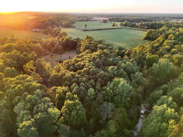 V/L Lot 7 S Fenmore Road, Bannister, MI 48807