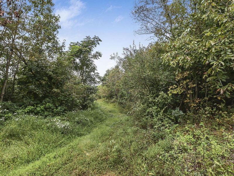 0 Cr E Side Hysell Run 15 Road , Pomeroy, OH 45769 Photo 31