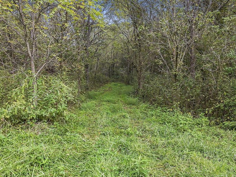 0 Cr E Side Hysell Run 15 Road , Pomeroy, OH 45769 Photo 60