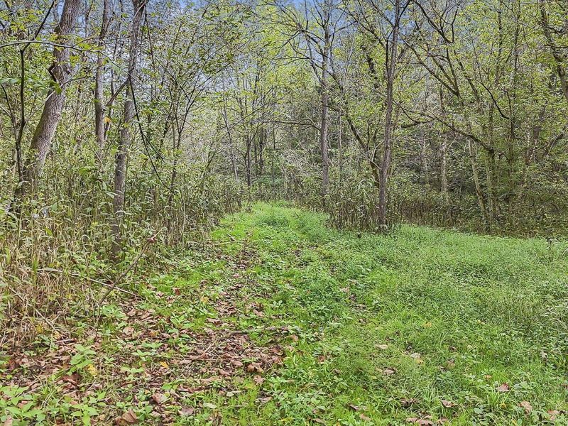 0 Cr E Side Hysell Run 15 Road , Pomeroy, OH 45769 Photo 61