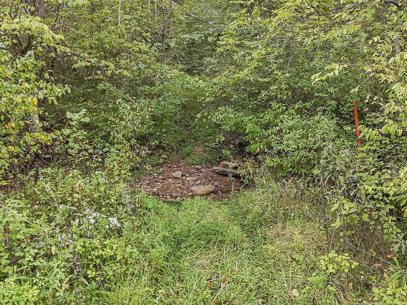 0 Cr E Side Hysell Run 15 Road , Pomeroy, OH 45769 Photo 64