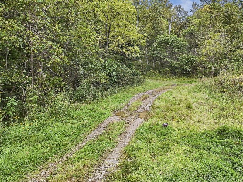 0 Cr E Side Hysell Run 15 Road , Pomeroy, OH 45769 Photo 65