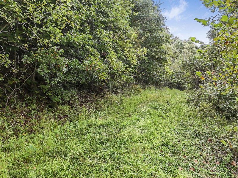 0 Cr E Side Hysell Run 15 Road , Pomeroy, OH 45769 Photo 69