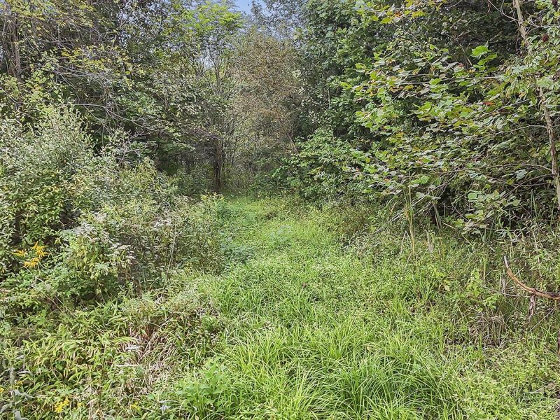 0 Cr E Side Hysell Run 15 Road , Pomeroy, OH 45769 Photo 70
