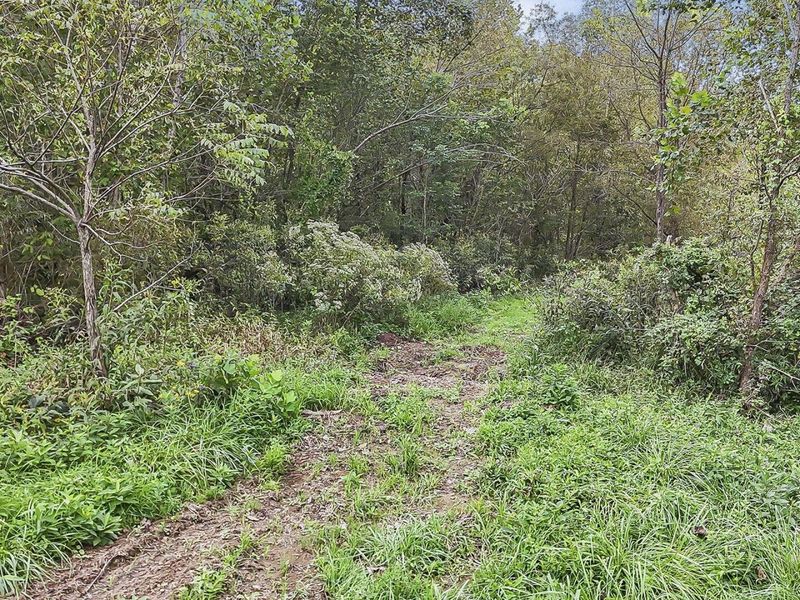 0 Cr E Side Hysell Run 15 Road , Pomeroy, OH 45769 Photo 71