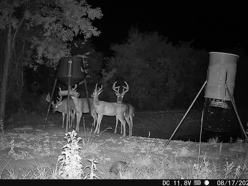 0 Cr E Side Hysell Run 15 Road , Pomeroy, OH 45769 Photo 75