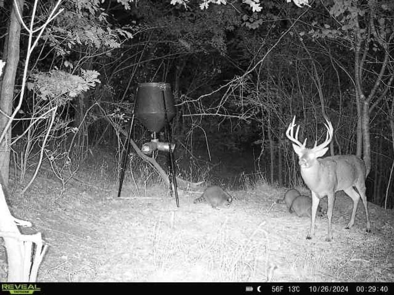0 Cr E Side Hysell Run 15 Road , Pomeroy, OH 45769 Photo 76