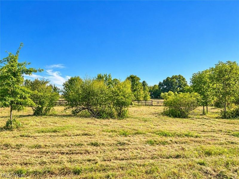 Lot #2 W Smith Road, Medina, OH 44256 Photo 11