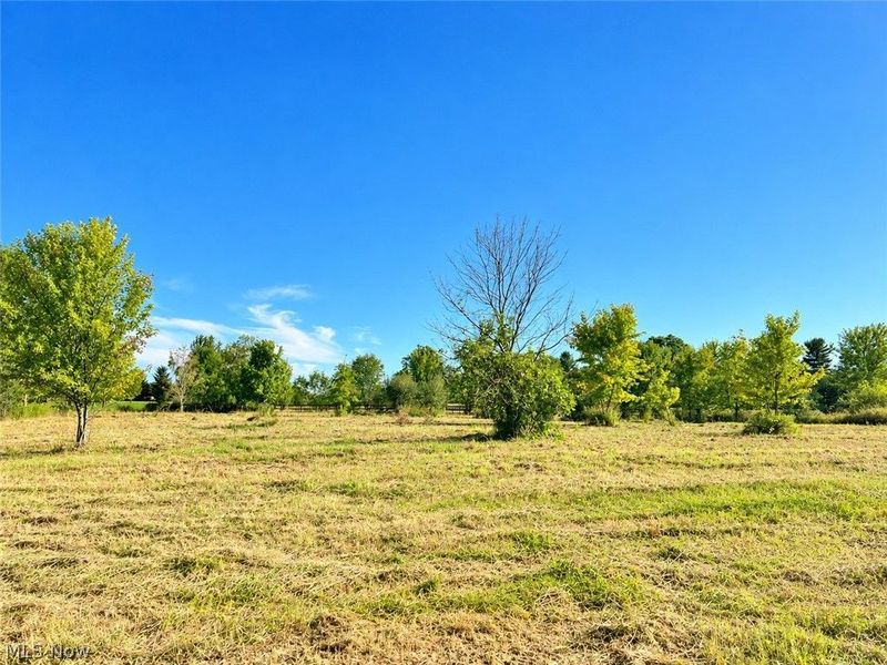 Lot #2 W Smith Road, Medina, OH 44256 Photo 13