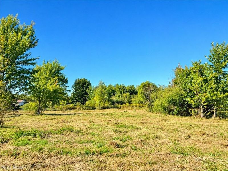 Lot #2 W Smith Road, Medina, OH 44256 Photo 14