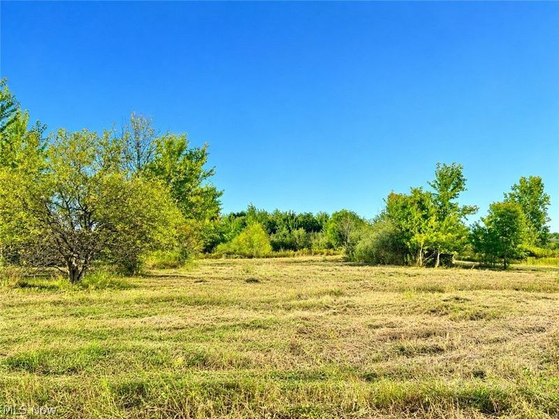 Lot #2 W Smith Road, Medina, OH 44256 Photo 17