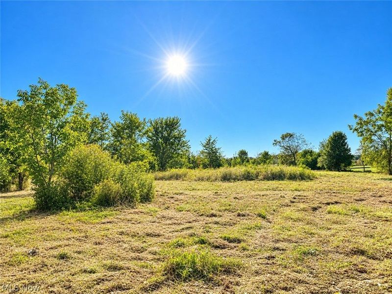 Lot #2 W Smith Road, Medina, OH 44256 Photo 2