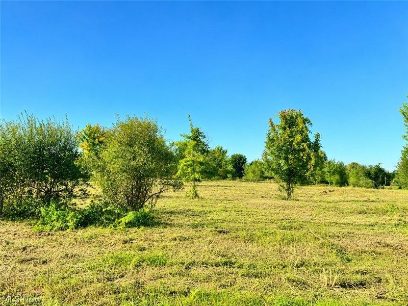 Lot #2 W Smith Road, Medina, OH 44256 Photo 3