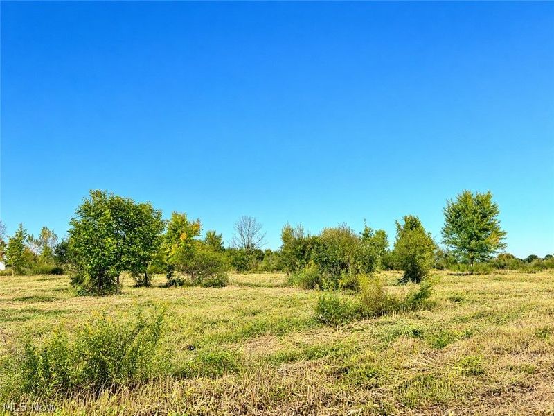 Lot #2 W Smith Road, Medina, OH 44256 Photo 4