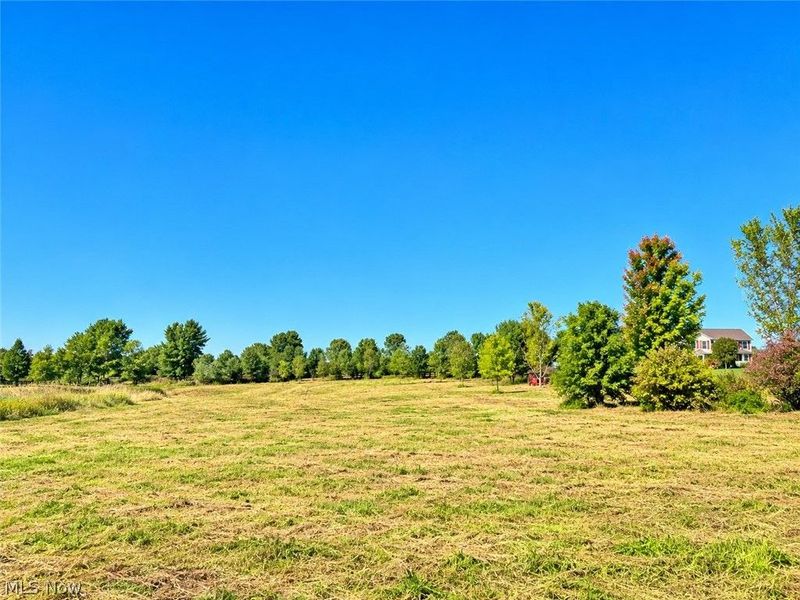 Lot #2 W Smith Road, Medina, OH 44256 Photo 6