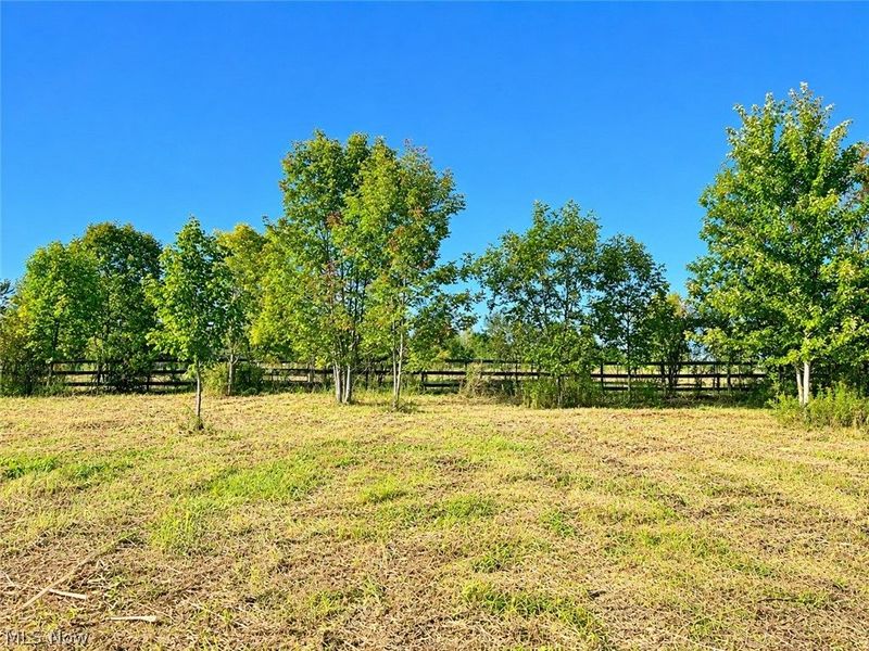 Lot #2 W Smith Road, Medina, OH 44256 Photo 7