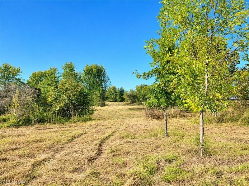 Lot #2 W Smith Road, Medina, OH 44256 Photo 9