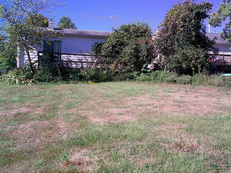 82 Sanders Drive, Florence, KY 41042 Photo 3