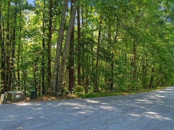 0 Rome Beauty Lane, Unit LOT 1109, Clarkesville, GA 30523