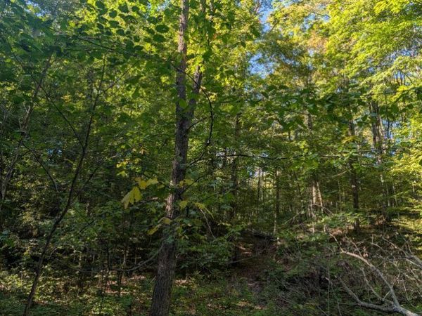 V/L Lewis Road, East Jordan, MI 49727