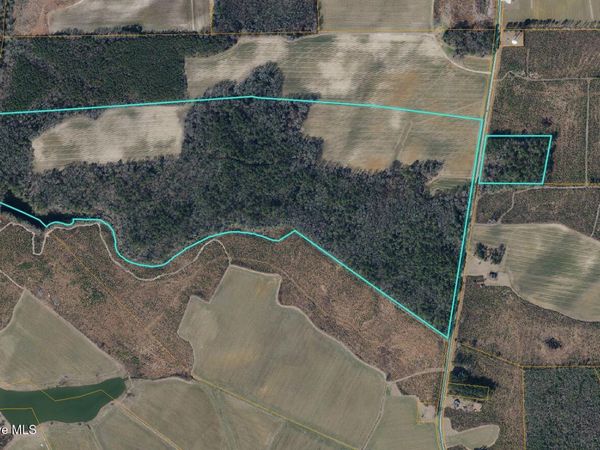 0 N Fountain Road , Pinetops, NC 27864