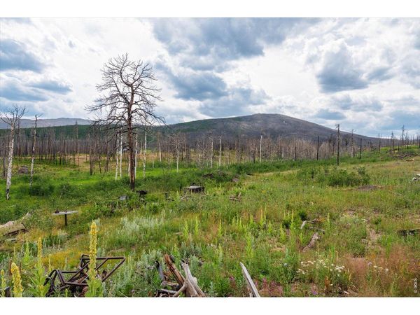 529 Quartz Rd, Bellvue, CO 80512