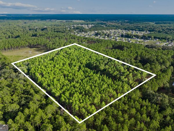 0 Bub Lane, Ellabell, GA 31308