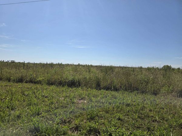XXX Oak Grove Road , Blountstown, FL 32424