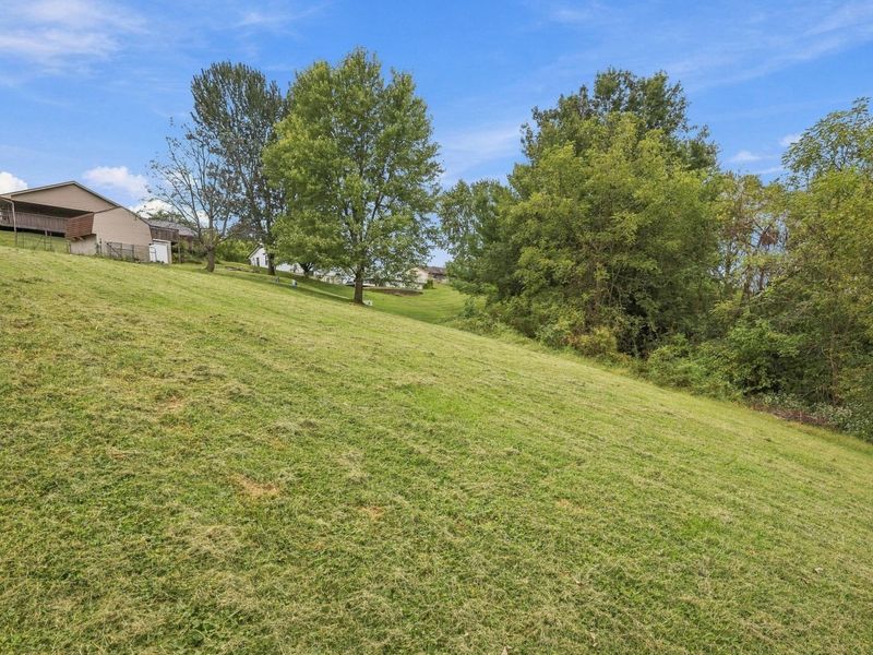15 Ellen Kay Drive, Dry Ridge, KY 41035 Photo 44