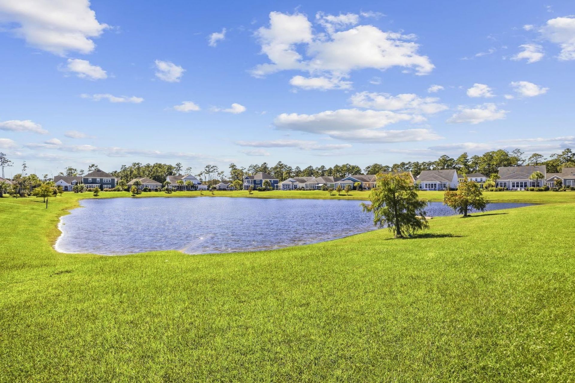 960 Longwood Bluffs Circle Photo 49