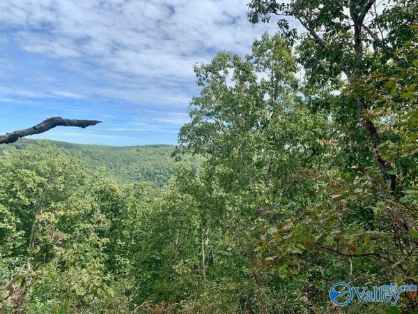 640 Blowing Cave Road, Gurley, AL 35748