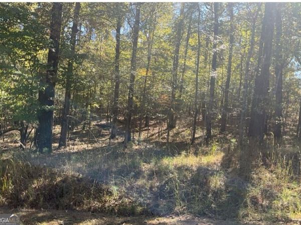 LOT 246 Sunflower Court, Sparta, GA 31087