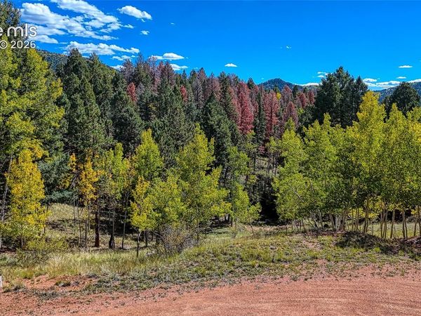 136 Gold Crown Circle, Cripple Creek, CO 80813
