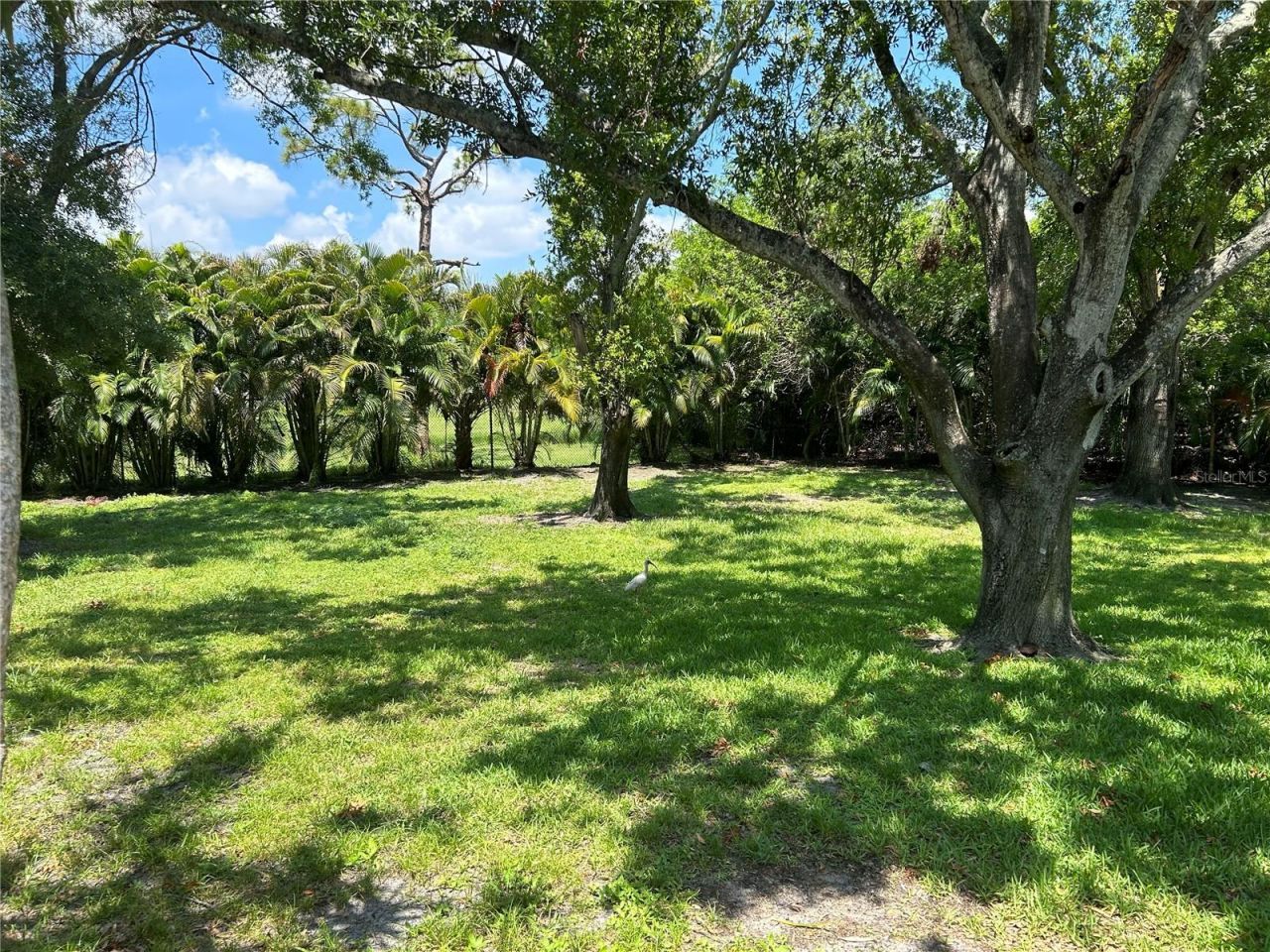 6128 16th Lane Ne, Saint Petersburg, FL 33703 Photo