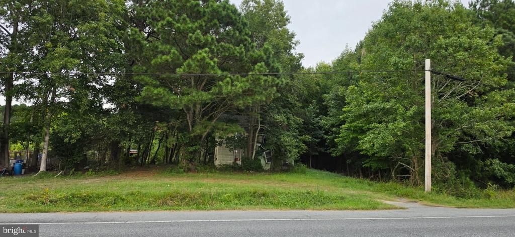 5429 STOCKTON ROAD, STOCKTON, MD 21864