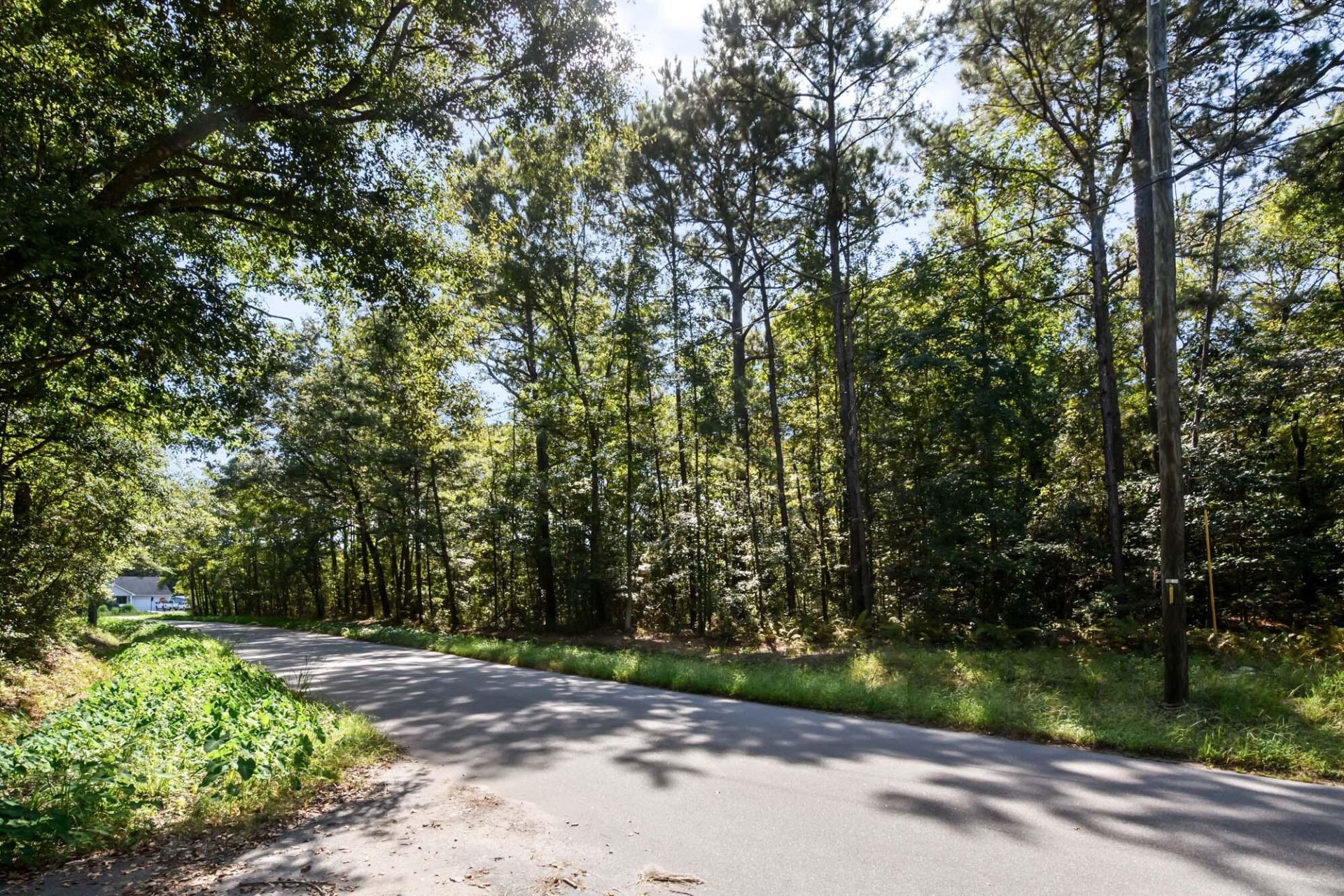 965 Main Road Photo 14