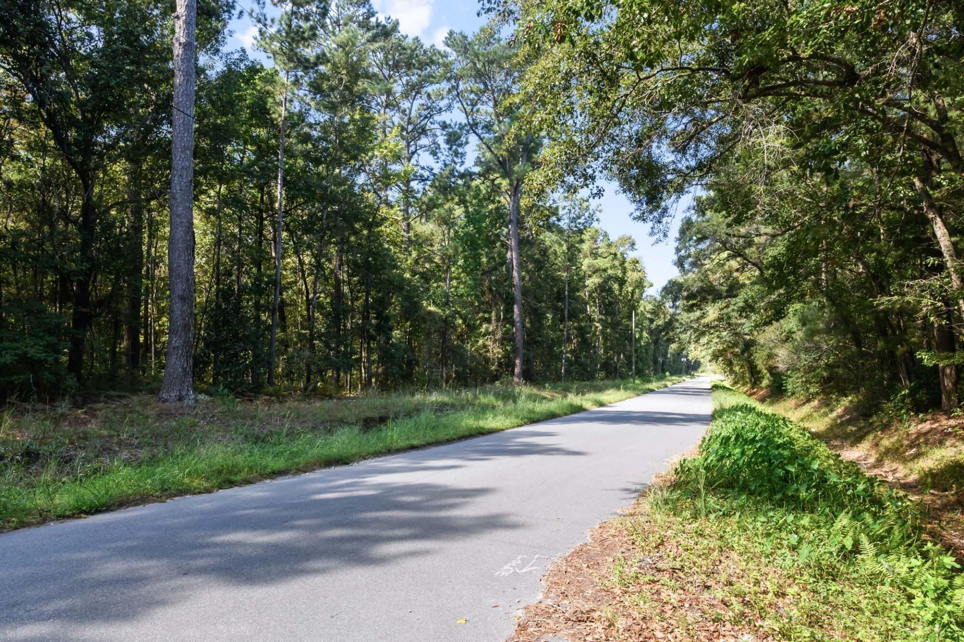 965 Main Road Photo 15