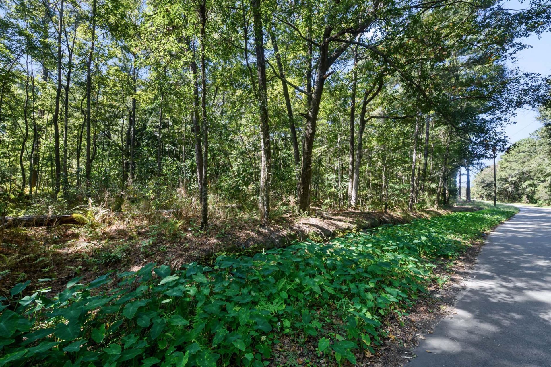 965 Main Road Photo 17