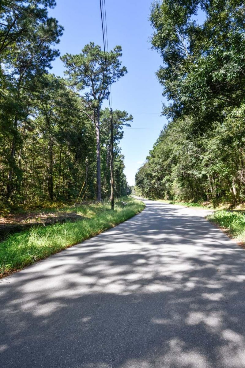 965 Main Road Photo 18