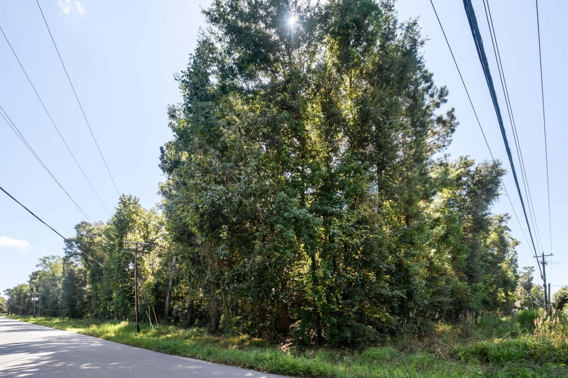 965 Main Road Photo 22
