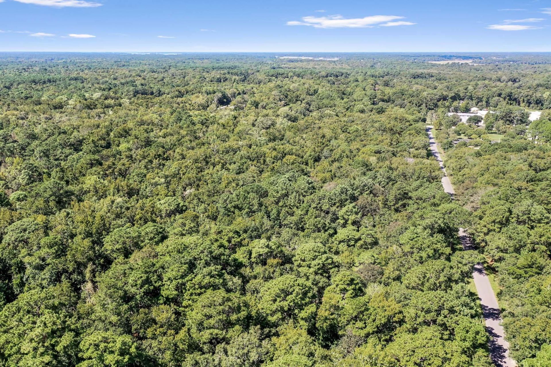 965 Main Road Photo 7