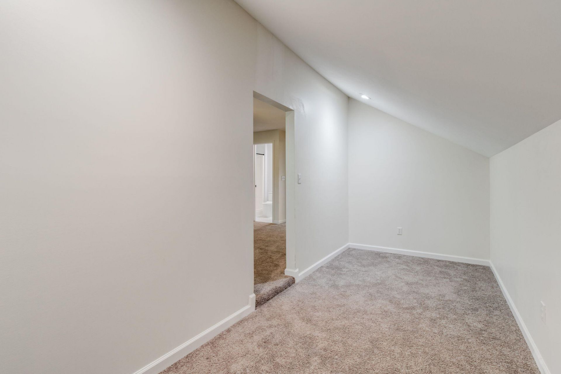 370 Chapel Creek Drive Photo 49