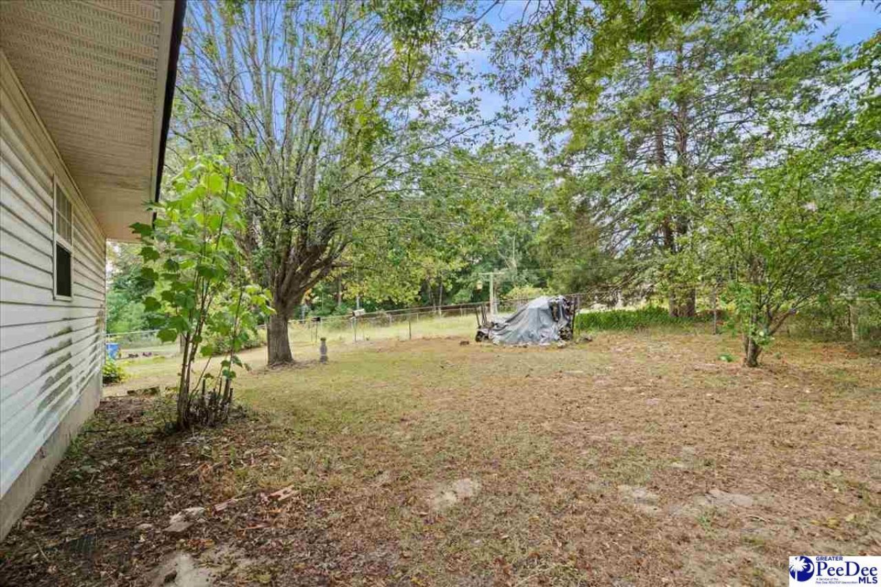 630 E Pigg St Photo 29