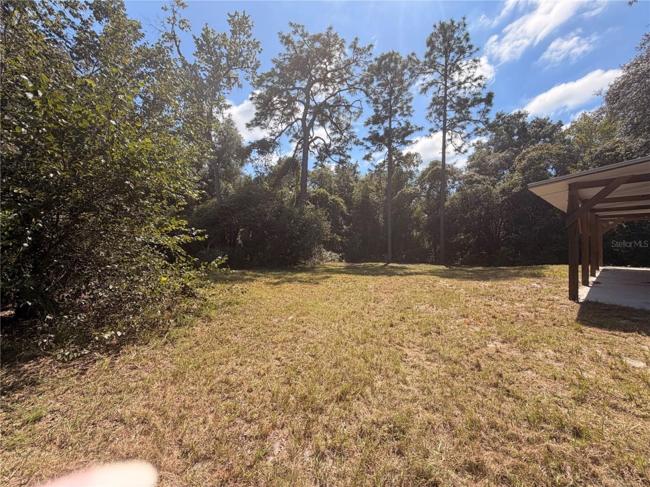 54750 County Road 445a , Astor, FL 32102 Photo
