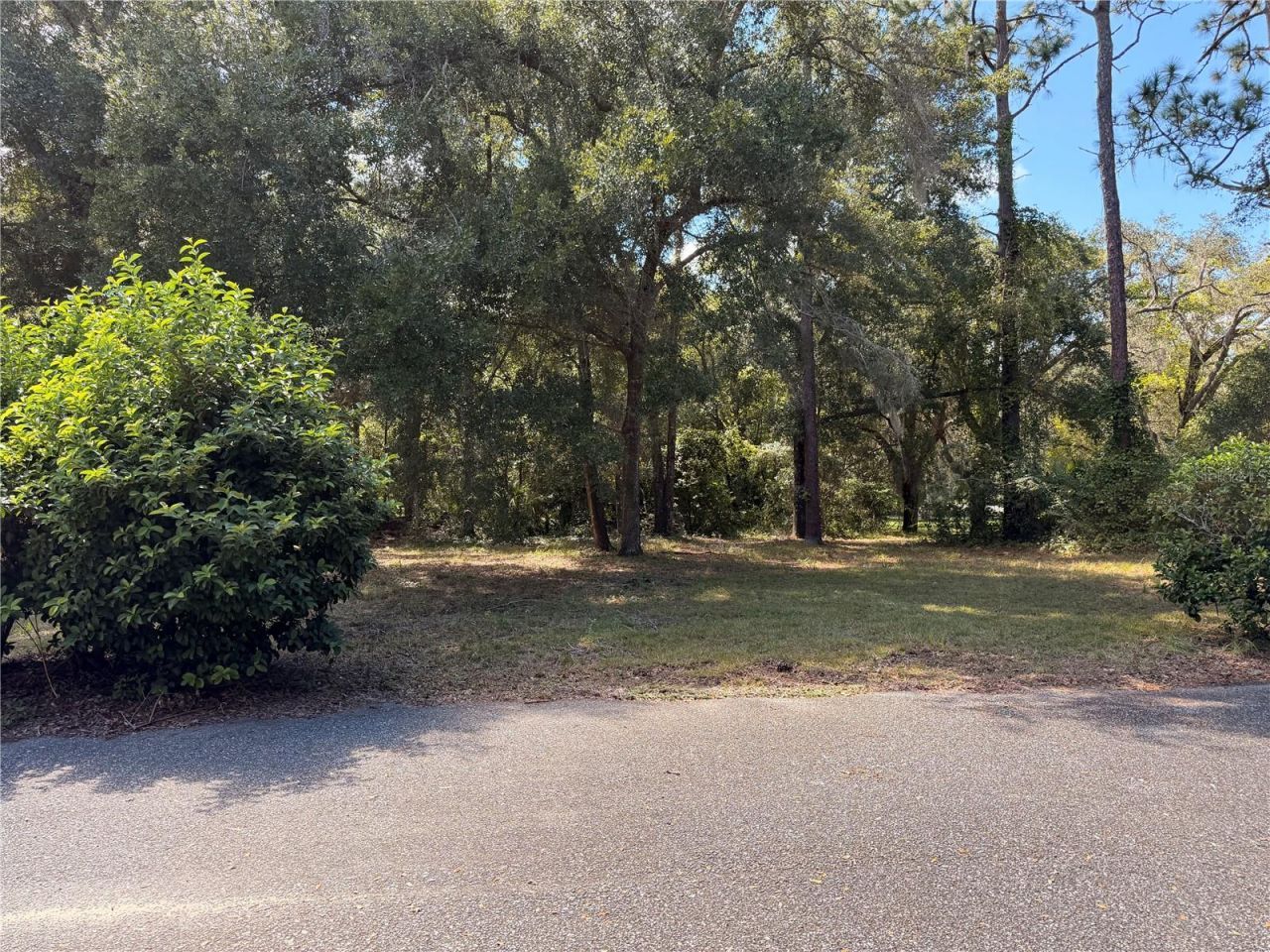 54750 County Road 445a , Astor, FL 32102 Photo