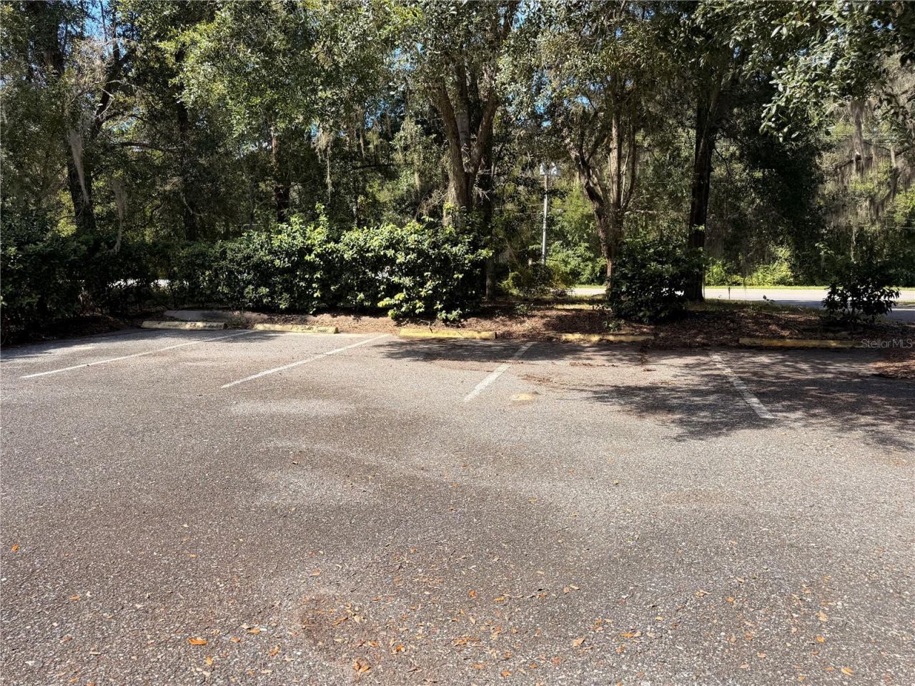 54750 County Road 445a , Astor, FL 32102 Photo