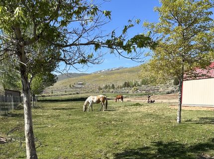 305 Rowel Circle, Reno, NV 89508 Photo