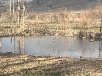 305 Rowel Circle, Reno, NV 89508 Photo